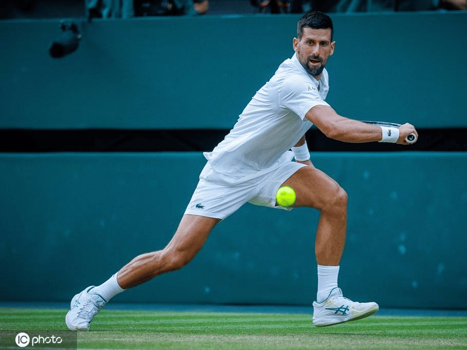 ATP总决赛轻取联合杯，德约科维奇关键制胜的简单介绍