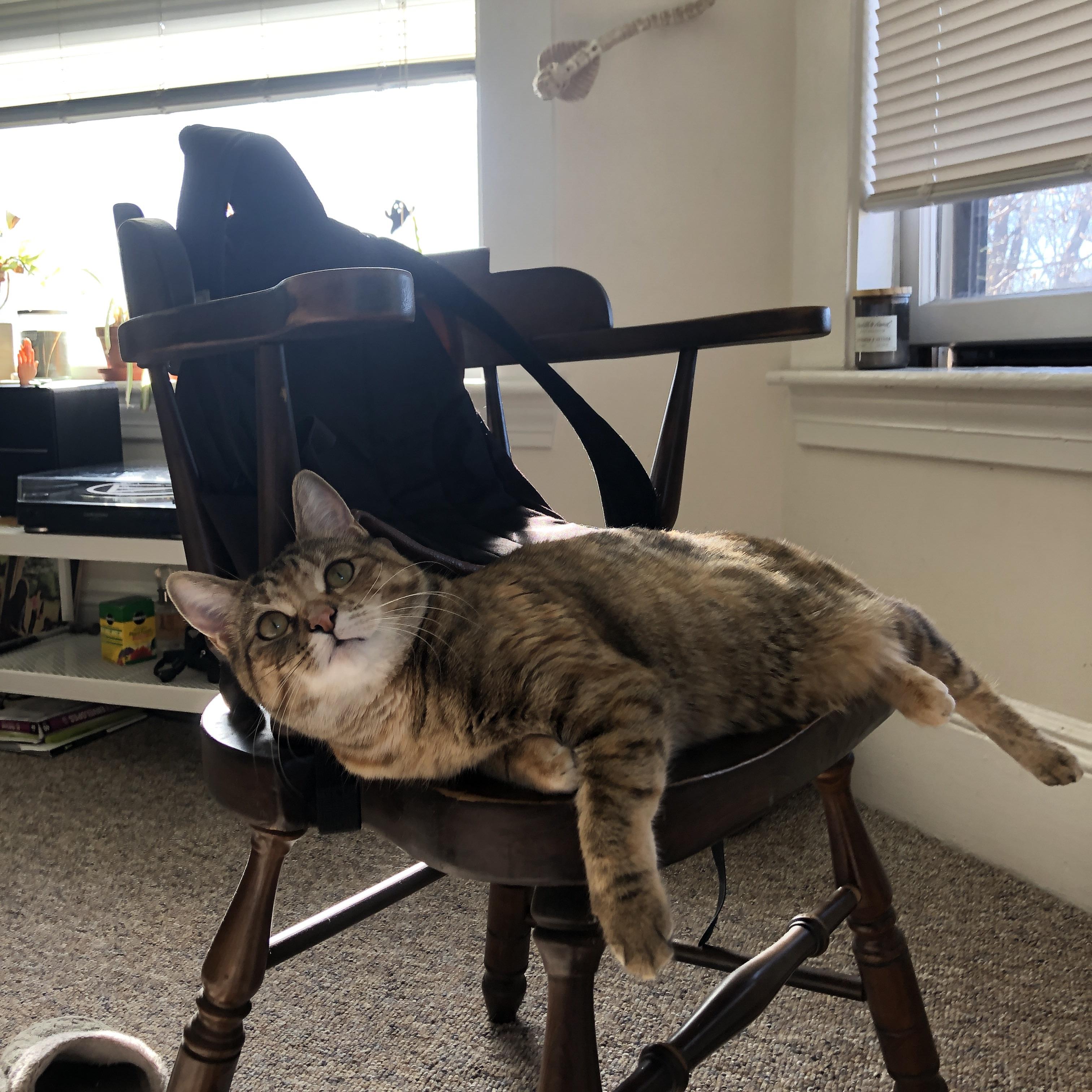 奥运周期关键战,伊萨克主宰赛场,尤文血拼安哥拉夺胜