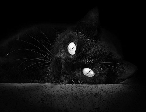 魔笛响起！若日尼奥导演史诗级战役，贝蒂斯主场狂胜多特蒙德震惊欧洲