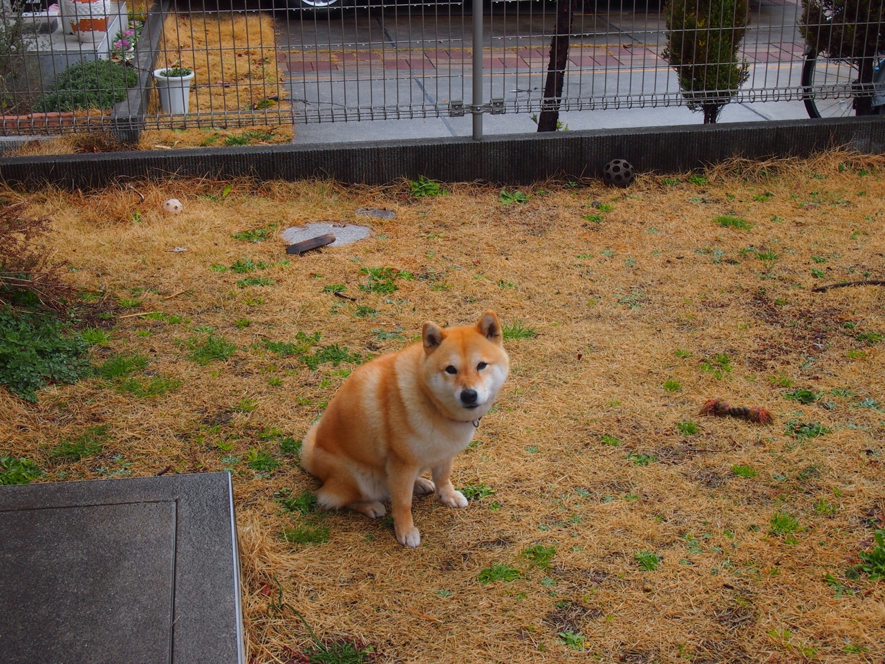 以荒原之名，托尼如何用一粒进球唤醒一个国家的绿洲