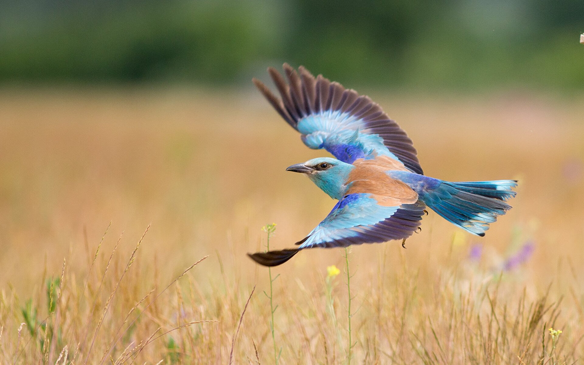 伦敦的穆勒幽灵，一个不属于英超的名字，如何定义争冠之夜？