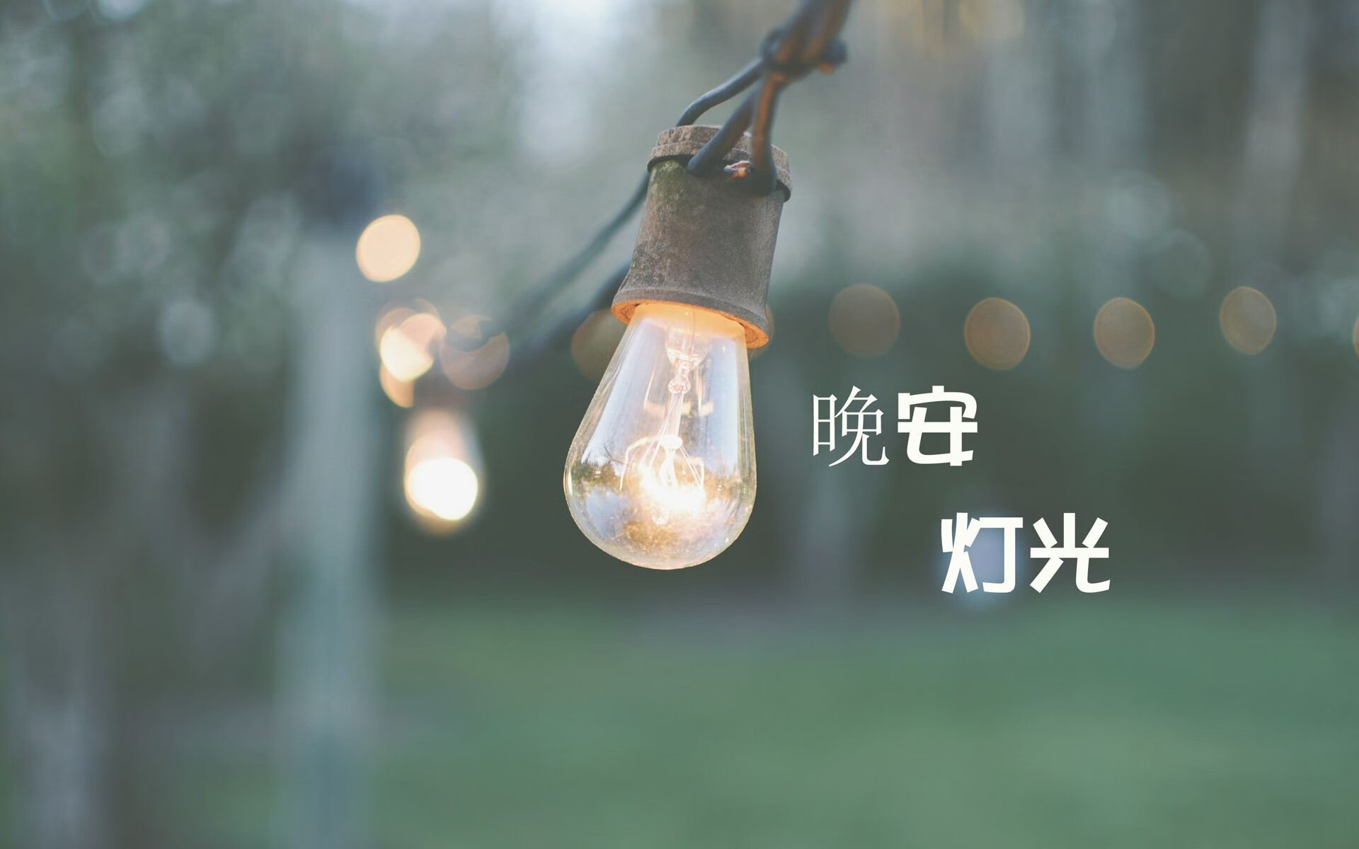 现代篮球的双面叙事,公牛的铁壁与莫兰特的锐矛