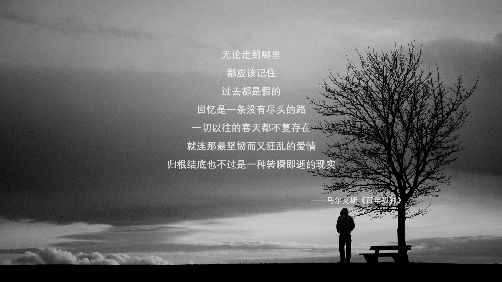沙漠风暴席卷哥本哈根,阿联酋闪电战击溃丹麦,费利克斯一剑封喉创历史
