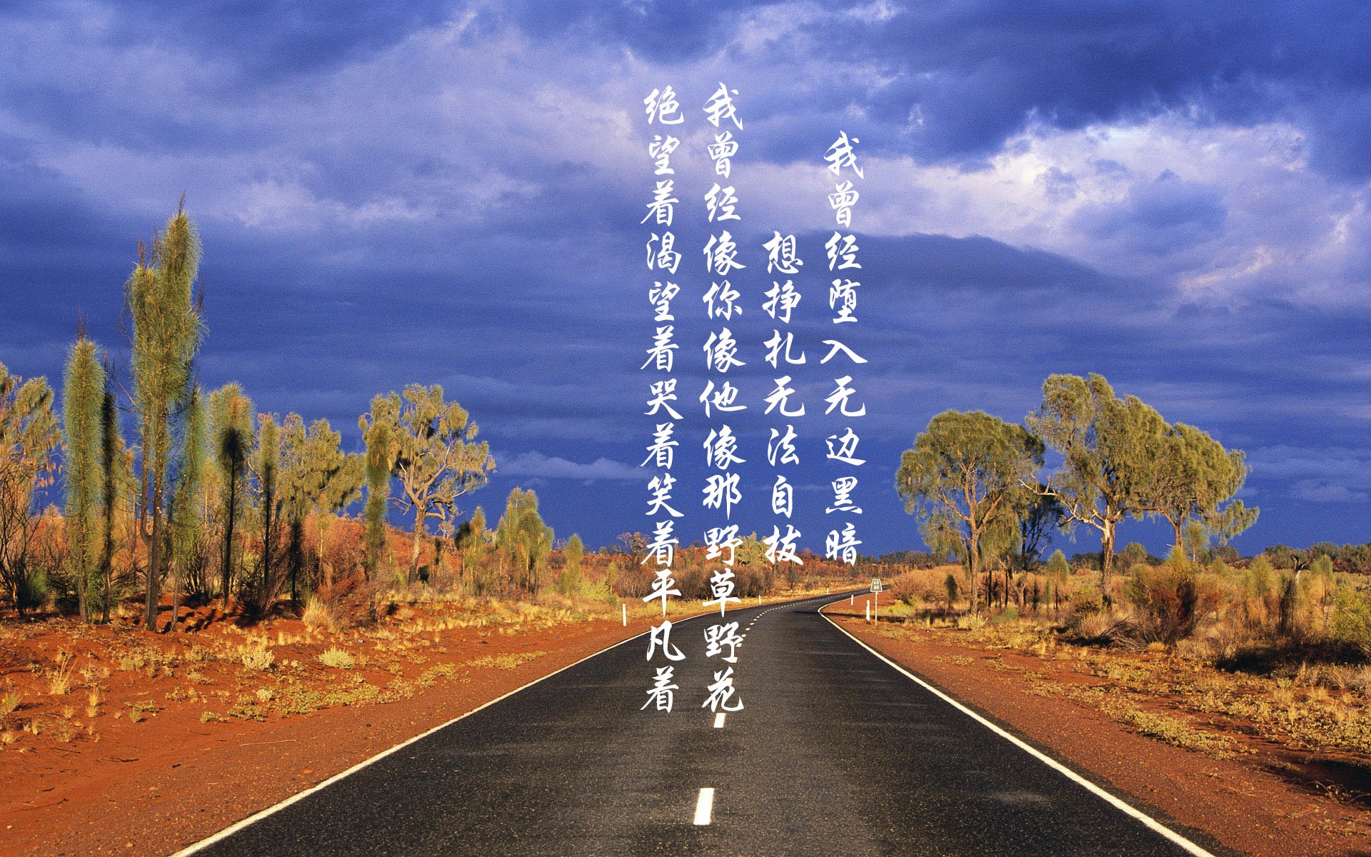 暗夜中的保加利亚玫瑰，当防守反击的艺术，在E组绽放成唯一的光